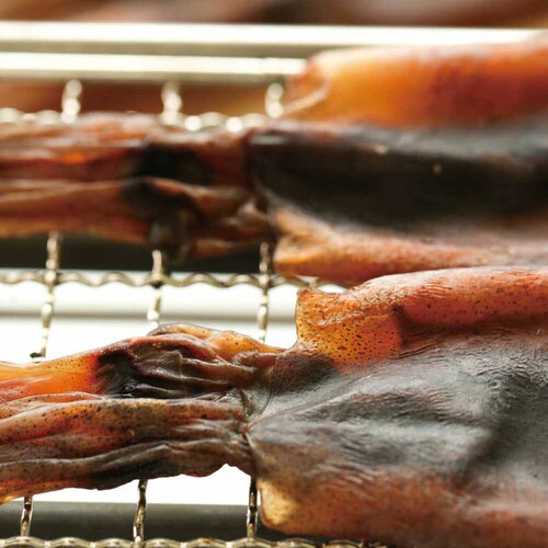 Tokka ۊ ܂  85g yԎwszyvUZNgzysz_10