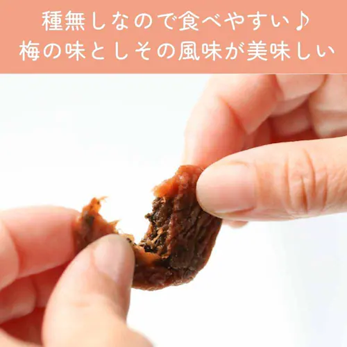 【3個】Tokka 種なし しそ梅ちゃん 90g 【時間指定不可】【プラザセレクト】【代引き不可】_6