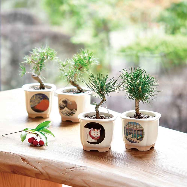 4種セット】JAPANESE BONSAI 松（波富士・赤富士・白猫・富士と猫