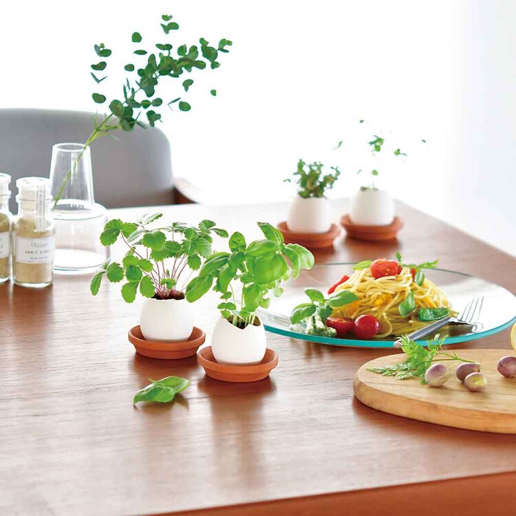 エッグリング エコ EG-6003 ワイルドストロベリー【プラザセレクト