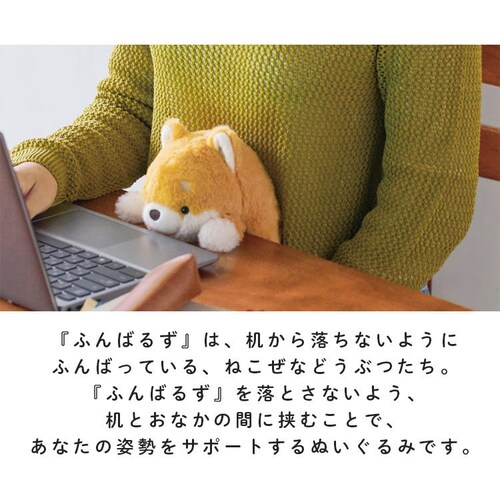 h[Y ӂ΂邸L VRT42875 VoCkyvUZNgz_4