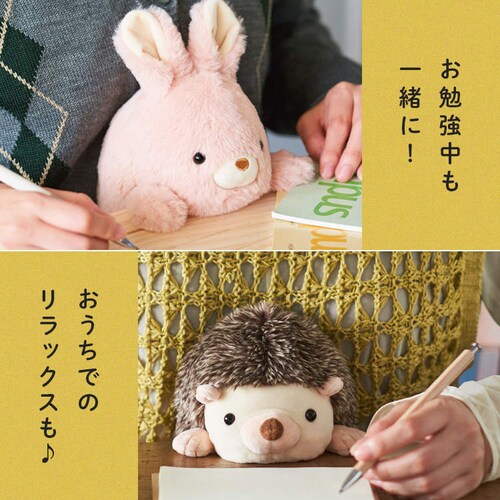 h[Y ӂ΂邸L VRT42875 VoCkyvUZNgz_10