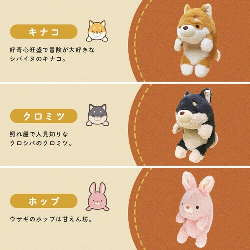 h[Y ӂ΂邸L VRT42875 VoCkyvUZNgz_11