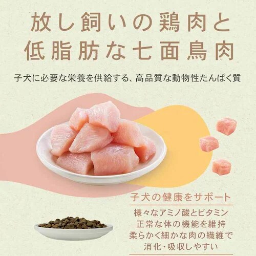 �`���[���@�p�s�[�@340g�@ �h�b�O�t�[�h_7