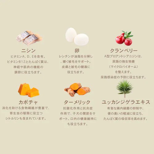 �`���[���@�p�s�[�@340g�@ �h�b�O�t�[�h_8