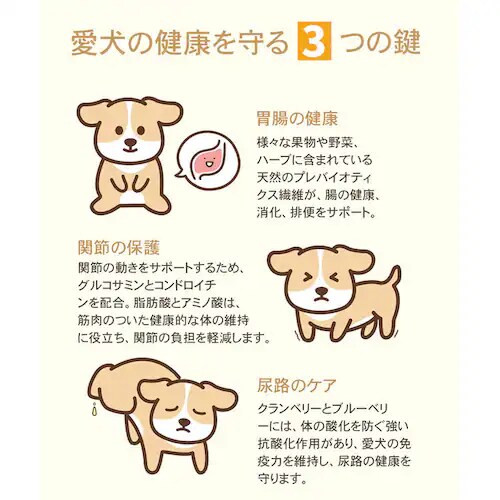 �`���[���@�p�s�[�@340g�@ �h�b�O�t�[�h_9