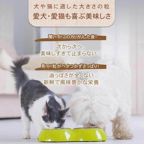 �`���[���@�p�s�[�@340g�@ �h�b�O�t�[�h_12