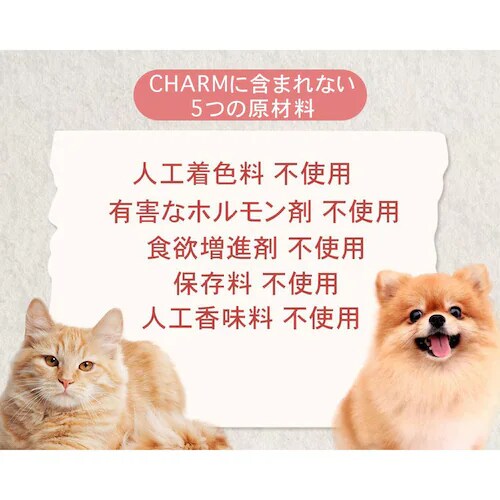 �`���[���@�A�_���g�h�b�O�@5.4kg�@ �h�b�O�t�[�h_11