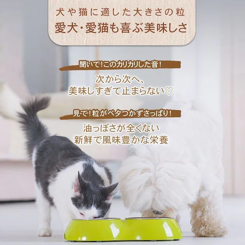 チャーム サーフ&ターフドッグ 340g_23