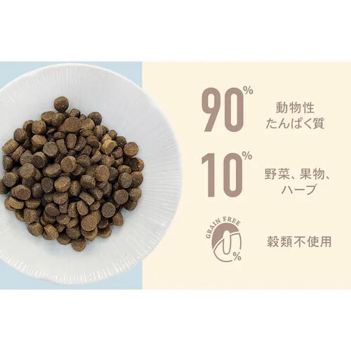 �`���[���@�T�[�t���^�[�t�h�b�O�@�Pkg_5