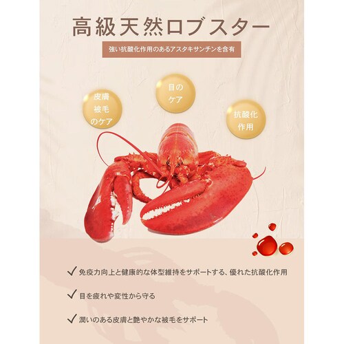 チャーム サーフ&ターフドッグ 1kg_7