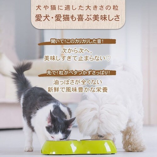 チャーム サーフ&ターフドッグ 1kg_12