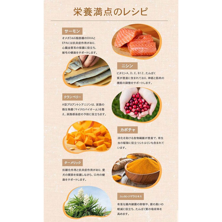 Nonchan チャーム ラム＆ サーモンドッグ 10kg ドッグフード チャーム ラム&サーモンドッグ 1kg 犬用 | チャーム