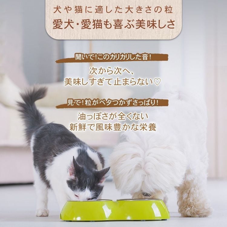 チャーム ラム＆サーモンドッグ 10kg 7292133│アイリスオーヤマ