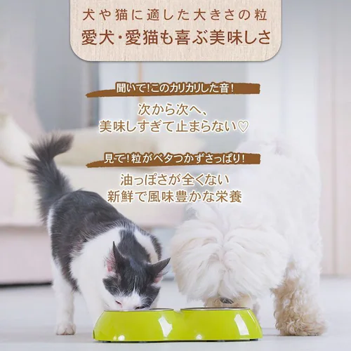 チャーム ラム&サーモンドッグ 10kg_23