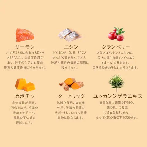 チャーム キトゥン 340g_5