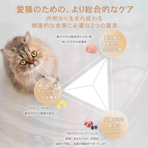 チャーム キトゥン 340g_7