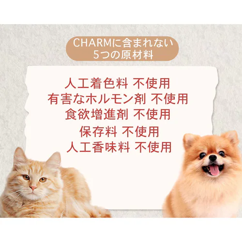 チャーム キトゥン 340g_9