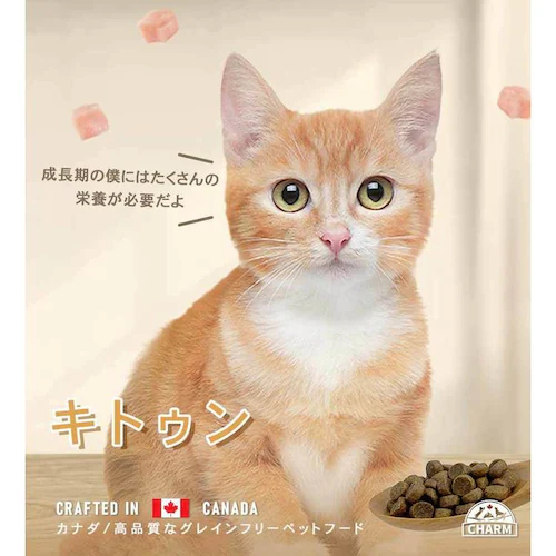 チャーム キトゥン 340g_11