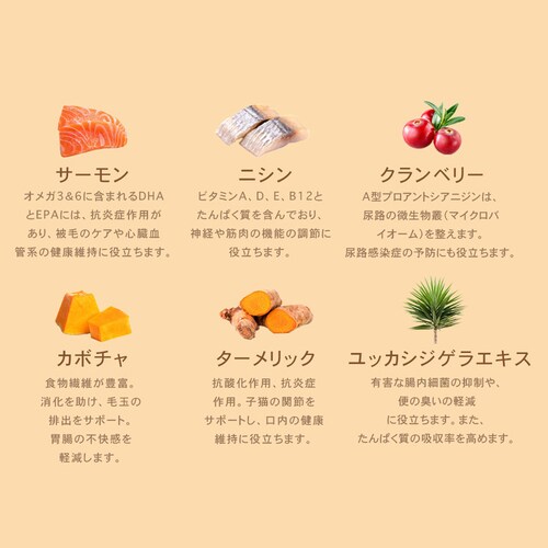 チャーム キトゥン 5.4kg_5