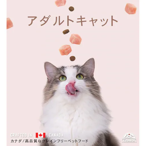 チャーム アダルトキャット 340g_2