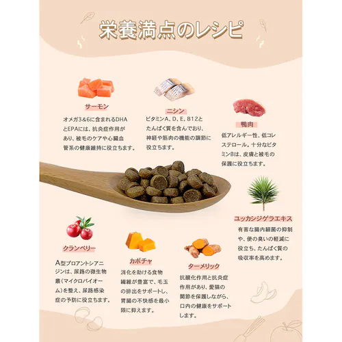 チャーム アダルトキャット 1kg_6