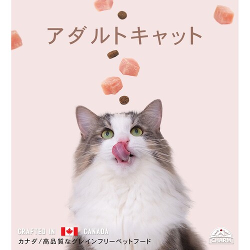 チャーム アダルトキャット 1kg_12