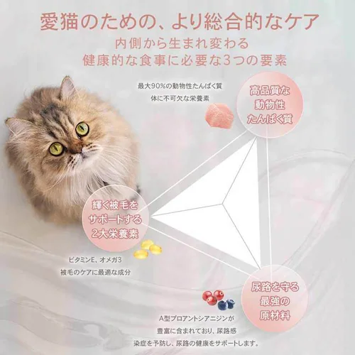 チャーム アダルトキャット 5.4kg_9