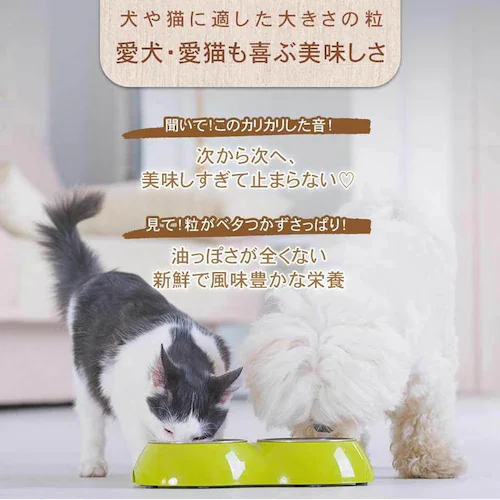 チャーム アダルトキャット 5.4kg_10