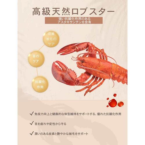 `[@T[t^[tLbg@5.4kg_5