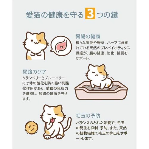 `[@T[t^[tLbg@5.4kg_17