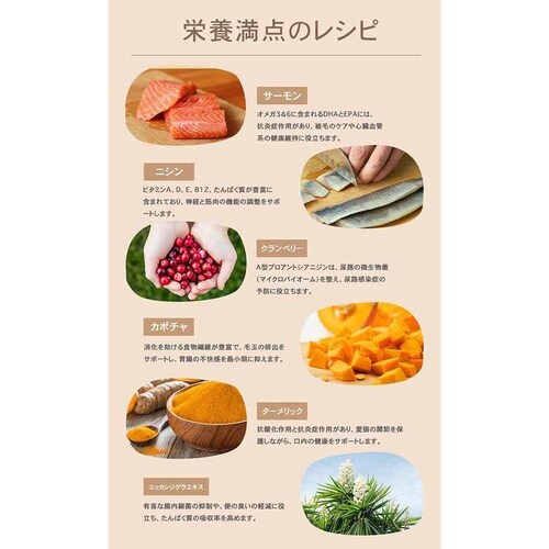 チャーム ラム&サーモンキャット 340g_6