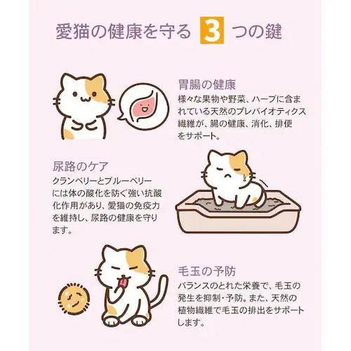 チャーム ラム&サーモンキャット 340g_17