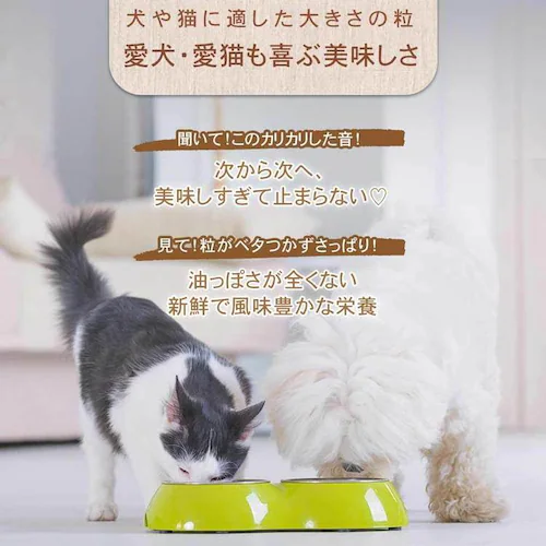 チャーム ラム&サーモンキャット 340g_20