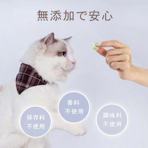 チャーム フリーズドライトリーツ まぐろキューブ&スッポン卵 _12