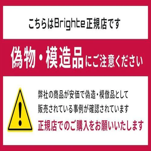 ブライト ELEKI LIFT(エレキリフト) ブラック BRT-FL170 【プラザセレクト】_2