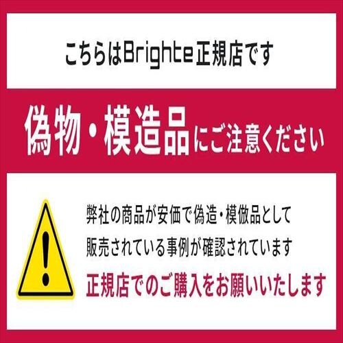 �u���C�g SHOWER DRYER�i�V�����[�h���C���[�j �u���b�N BRT-SD173 �y�v���U�Z���N�g�z_2