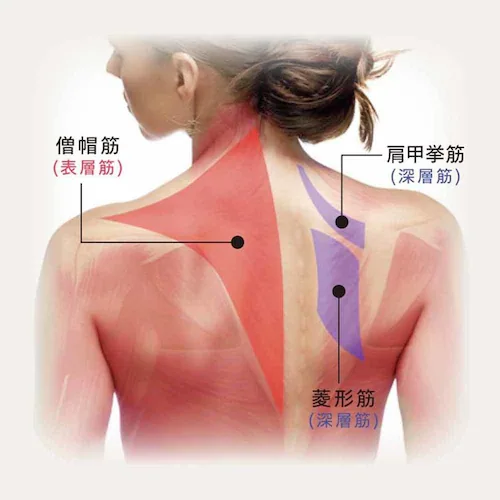 アテックスルルド プレミアムシートマッサージャー AX-HPL368DG ダークグレー【プラザセレクト】_3