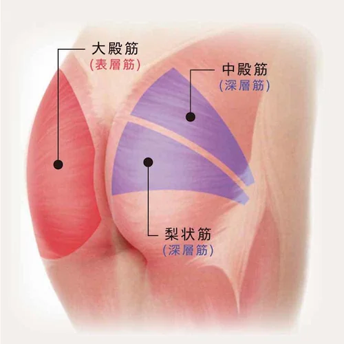 アテックスルルド プレミアムシートマッサージャー AX-HPL368DG ダークグレー【プラザセレクト】_17