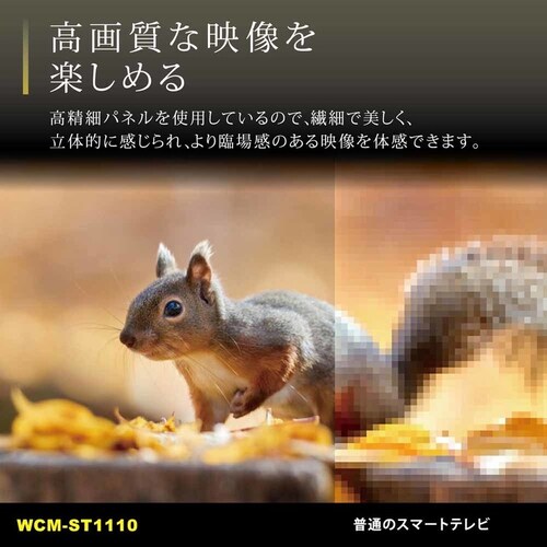 _Cj`dq `[i[XX}[ger(11.6C`) ubN WCM-ST1110 yvUZNgz_10