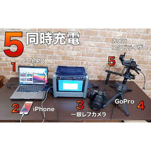 ダイニチ電子 TV/ラジオ搭載ポータブル電源 PSTV-600 【プラザセレクト】_5