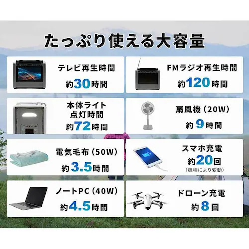 ダイニチ電子 TV/ラジオ搭載ポータブル電源 PSTV-600 【プラザセレクト】_16
