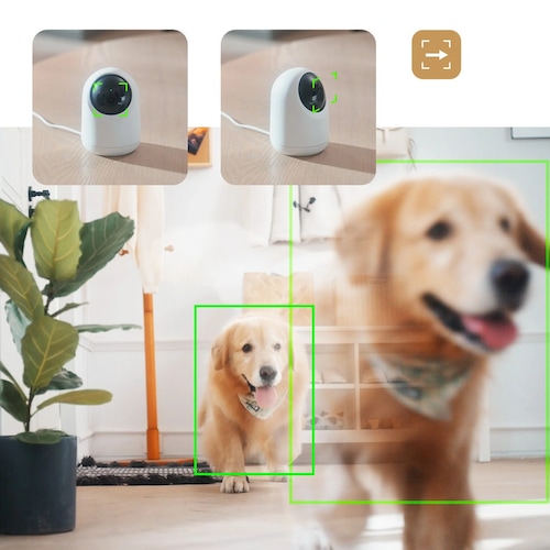 SwitchBot 見守りカメラ W1801200-GH 【プラザセレクト】_7