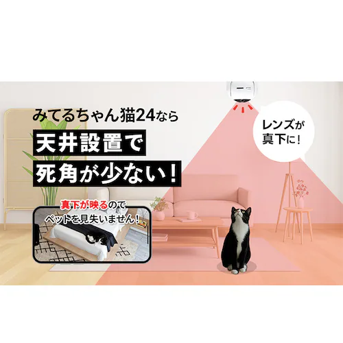 ˖{ ybgJ ݂Ă邿L 24 WTW-NEKO245S yvUZNgz_3