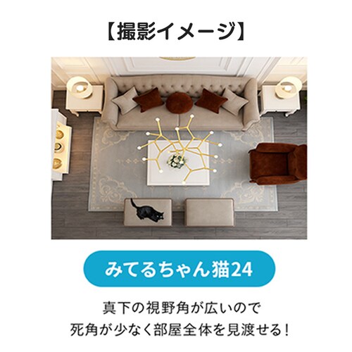 ˖{ ybgJ ݂Ă邿L 24 WTW-NEKO245S yvUZNgz_4