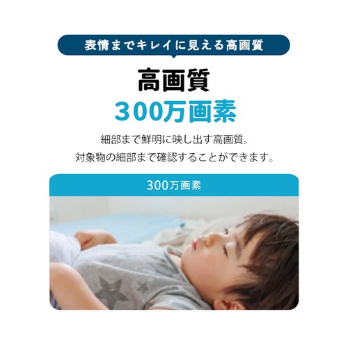 ˖{ ybgJ ݂Ă邿L 24 WTW-NEKO245S yvUZNgz_5