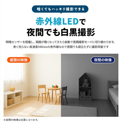 ˖{ ybgJ ݂Ă邿L 24 WTW-NEKO245S yvUZNgz_8