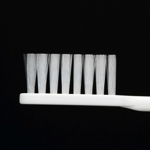 LION NjJ Ahoe[W nuV3RpNg ӂ yvUZNgz_4