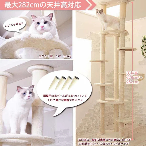 Lbg^[ Mau^[ GVF x[W mt-045 _3