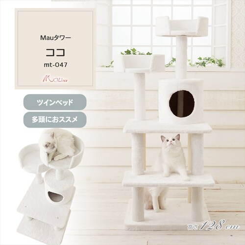 Lbg^[ Mau^[ RR ItzCg mt-047 _2